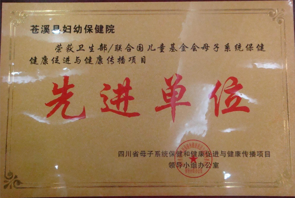 母子系统保健余健康促进和健康传播项目先进单位.png