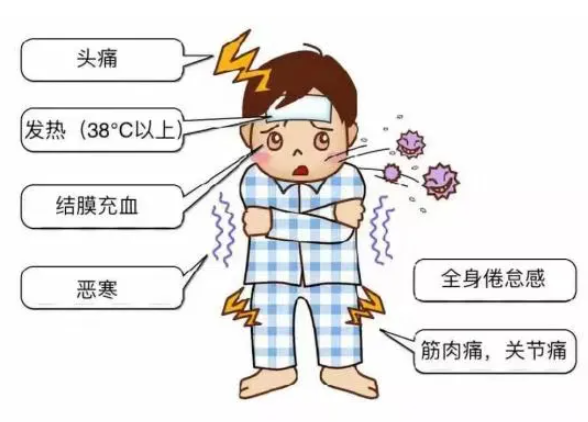 ba1792cf-cce3-4fb6-bd77-12bd3efe797c.png